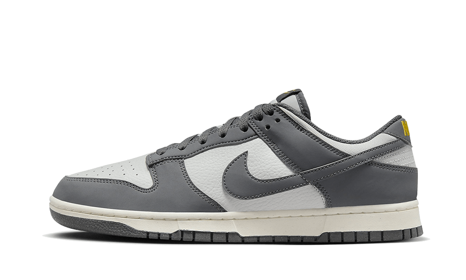 Nike Dunk Low Next Nature Iron Grey Lightning, Iron Grey/Coconut Milk/Lightning/Photon Dust (FZ4621-001)