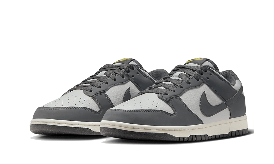 Nike Dunk Low Next Nature Iron Grey Lightning, Iron Grey/Coconut Milk/Lightning/Photon Dust (FZ4621-001)