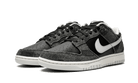 Nike Dunk Low Retro Animal Pack Zebra, Black/Pure Platinum-Canvas-Sail (DH7913-001)