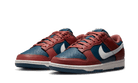 Nike Dunk Low Retro Canyon Rust, Canyon Rust/Summit White-Valerian Blue (DD1503-602)