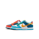 Nike Dunk Low What The