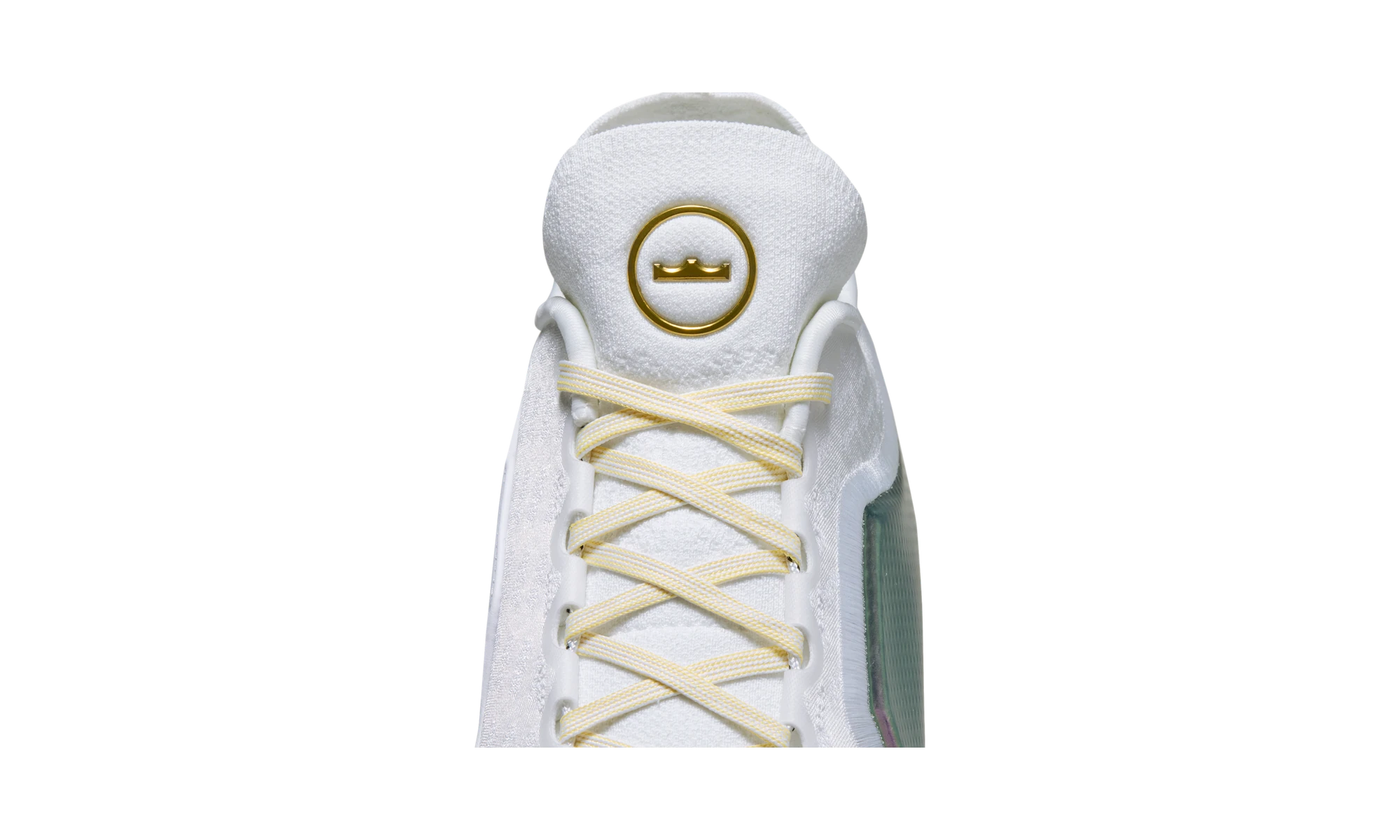 Nike LeBron 23 Elite For The Record