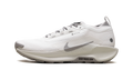 Nike React Pegasus Trail 5 Gore-Tex SP Summit White College Grey Bone