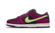 Nike SB Dunk Low Pro ACG Terra Red Plum
