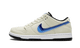 Nike SB Dunk Low Truck It