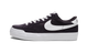 Nike SB Zoom Pogo Cave Purple