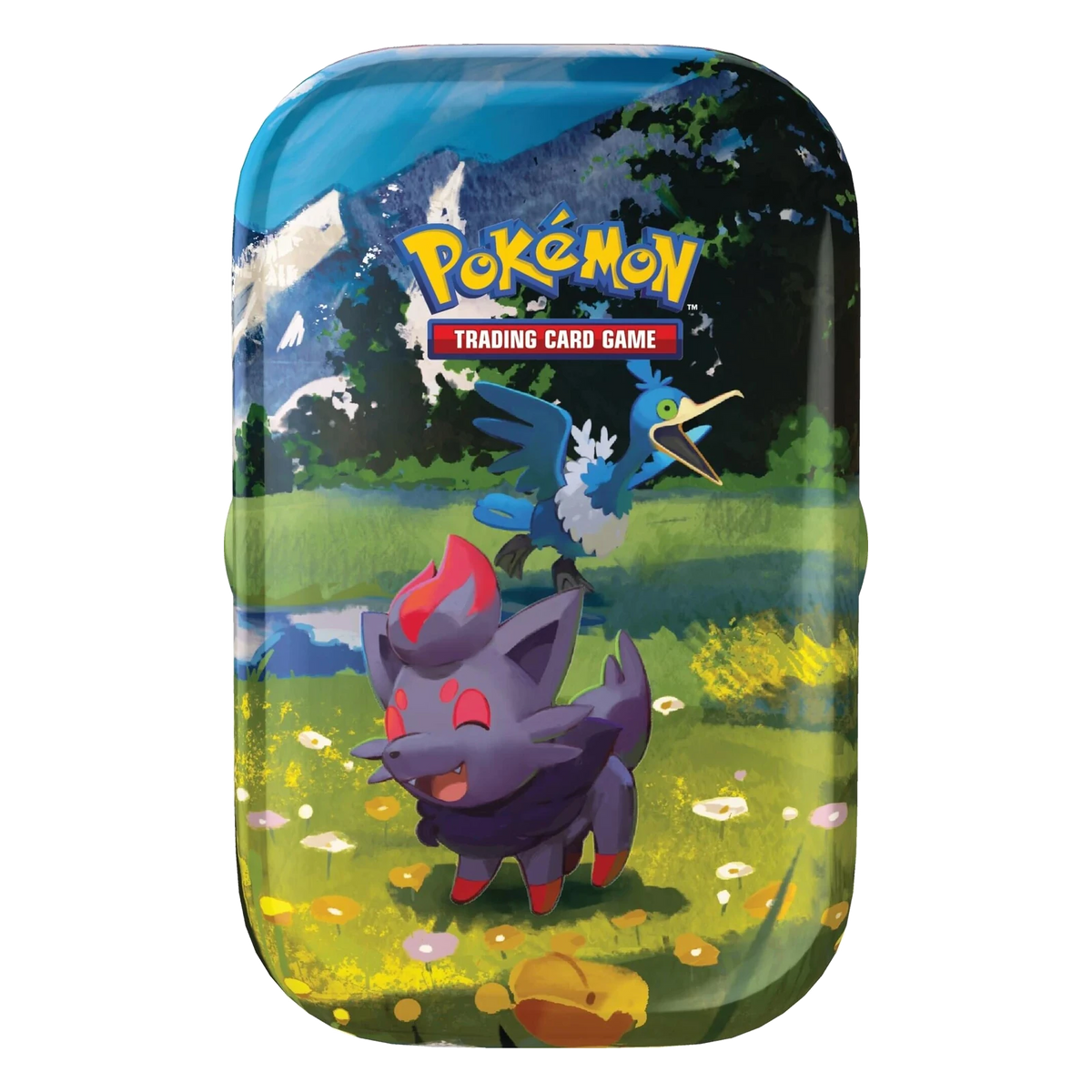 Pokémon TCG Ascended Heroes: Zorua Mini Tin