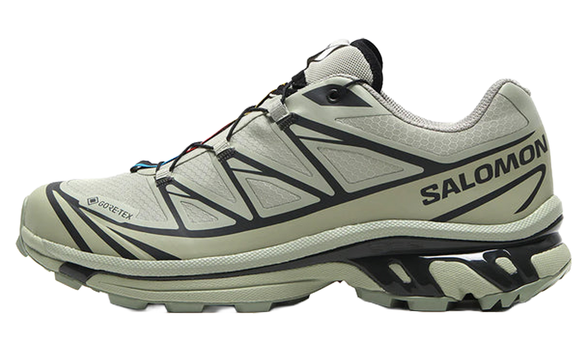 Salomon XT-6 Gore-Tex Tea Peat