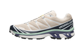 Salomon XT-6 Tapioca Spellbound Lichen