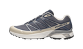 Salomon XT-Pathway 2 Grisaille Silver Rainy Day
