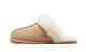 UGG Scuffette II Mustard Seed